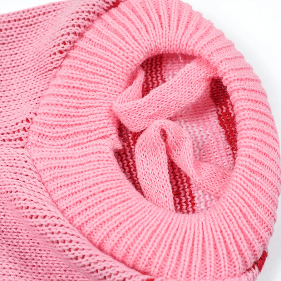 Dog & Cat V-day Sweater